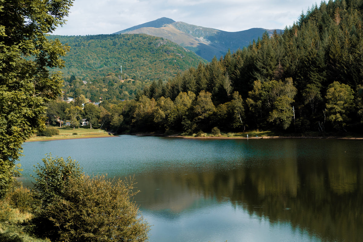 Pyrenees escape