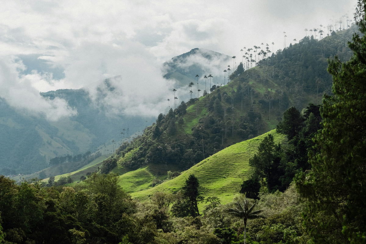 Colombia escape