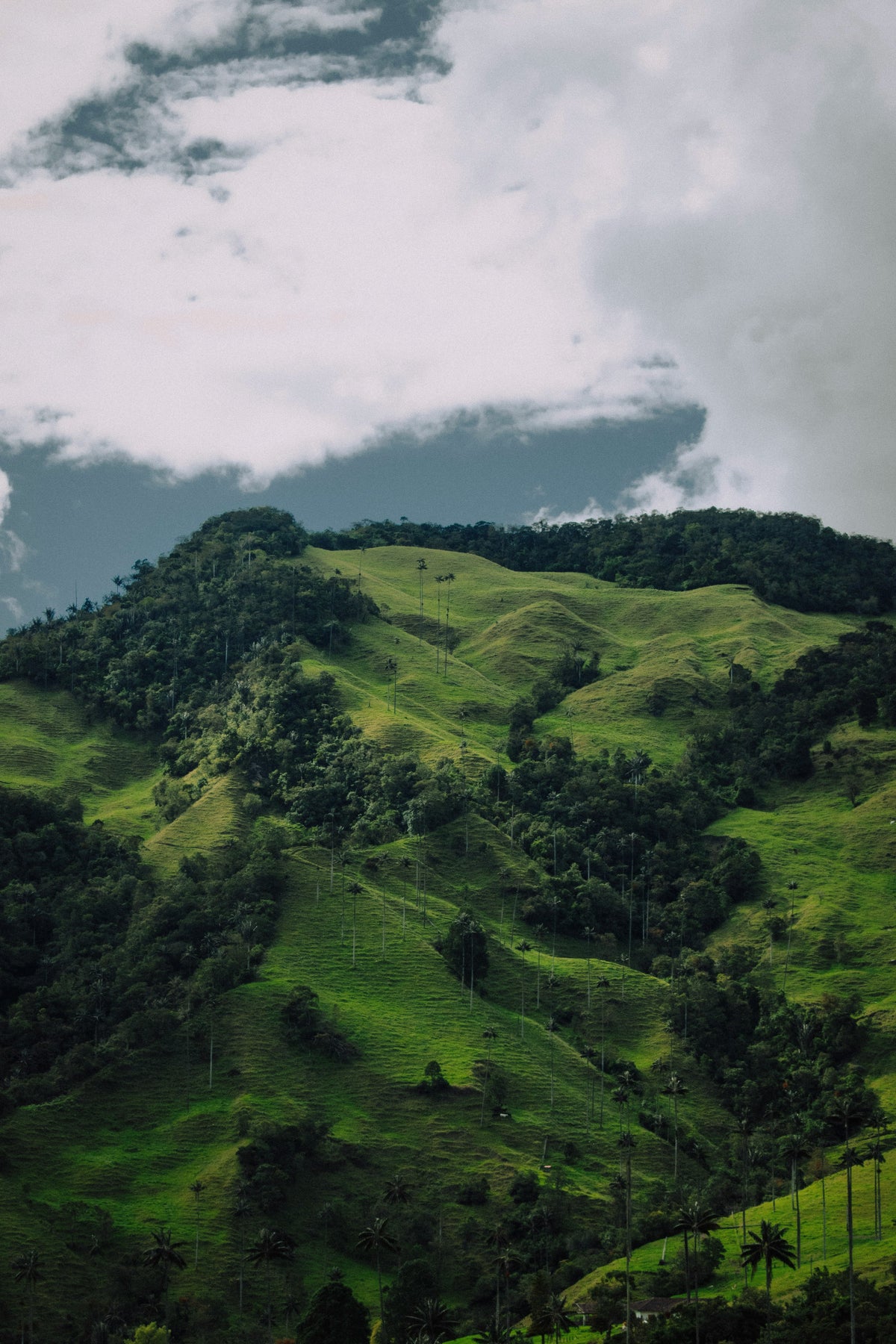 Colombia escape