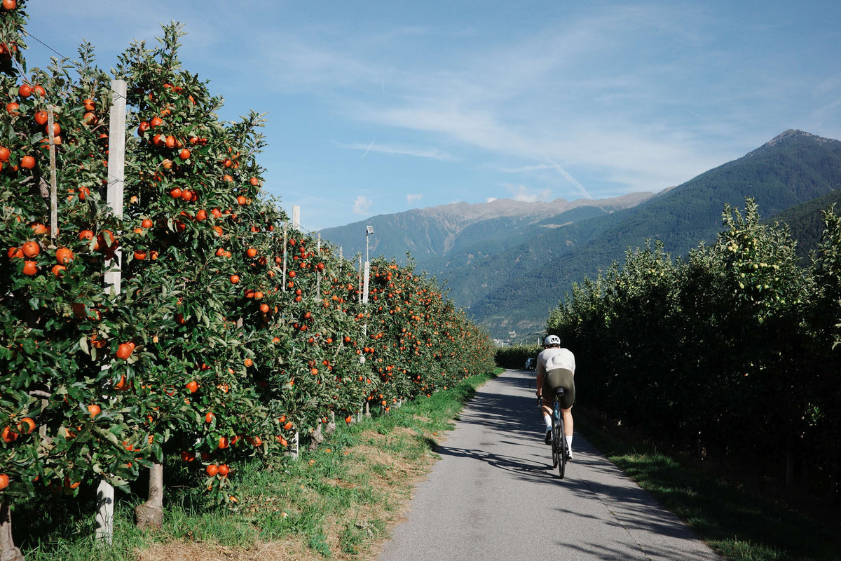 South Tyrol escape